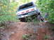Dawson Forrest 016.jpg